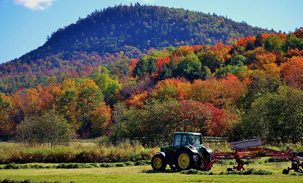 haying-in-piermont-nh